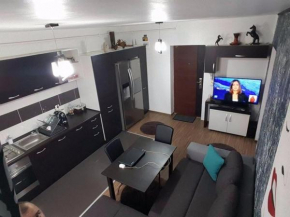 Гостиница Apartament Brenda  Сибиу